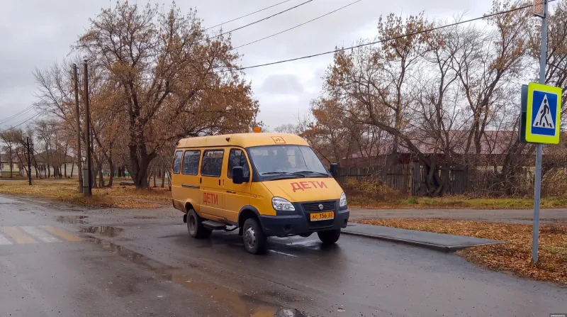 Улица Центральная осенью: школьный автобус «Дети» у пешеходного перехода, деревья, частные дома