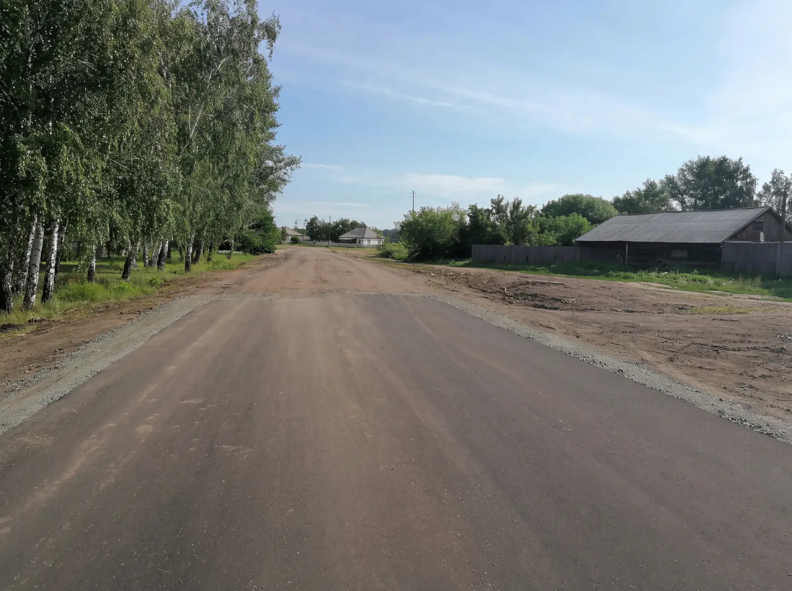 Улица Совхозная после ремонта: асфальт вдоль берёз, дома на краю села