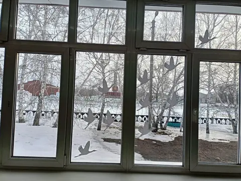 Всероссийская акция "Мы вместе" — фото 4