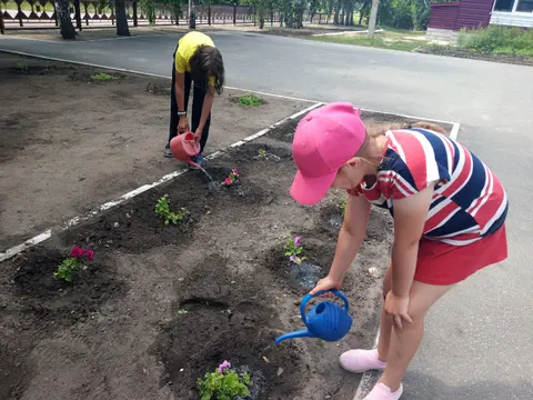 День природы и экологии — фото 4