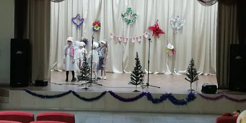 Празднование Нового года/Зимние каникулы — фото 6